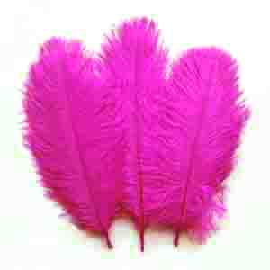 Ostrich feather - PINK
